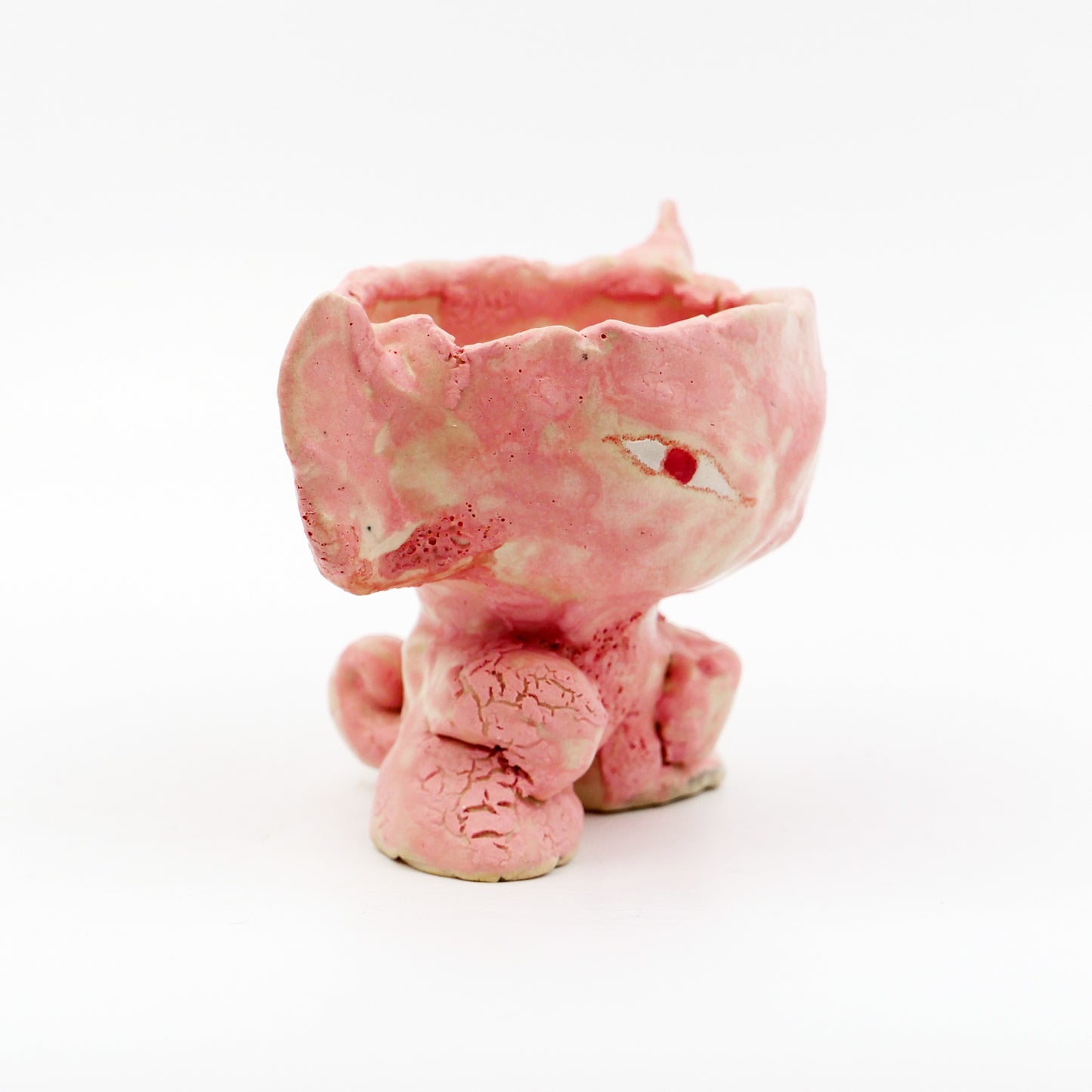 Pink Nomi