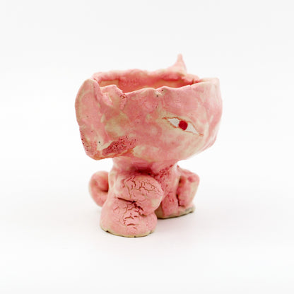 Pink Nomi